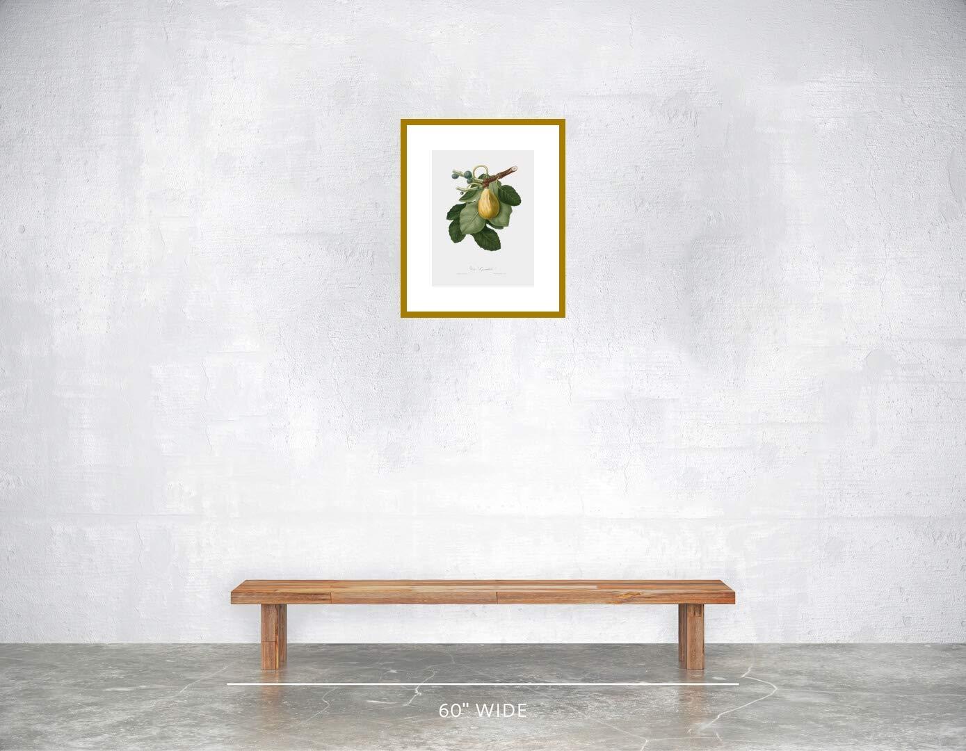 SpecialTea Company Special Tea Golden Monkey Superior Organic Black Tea, Loose Leaf, 3 Ounce