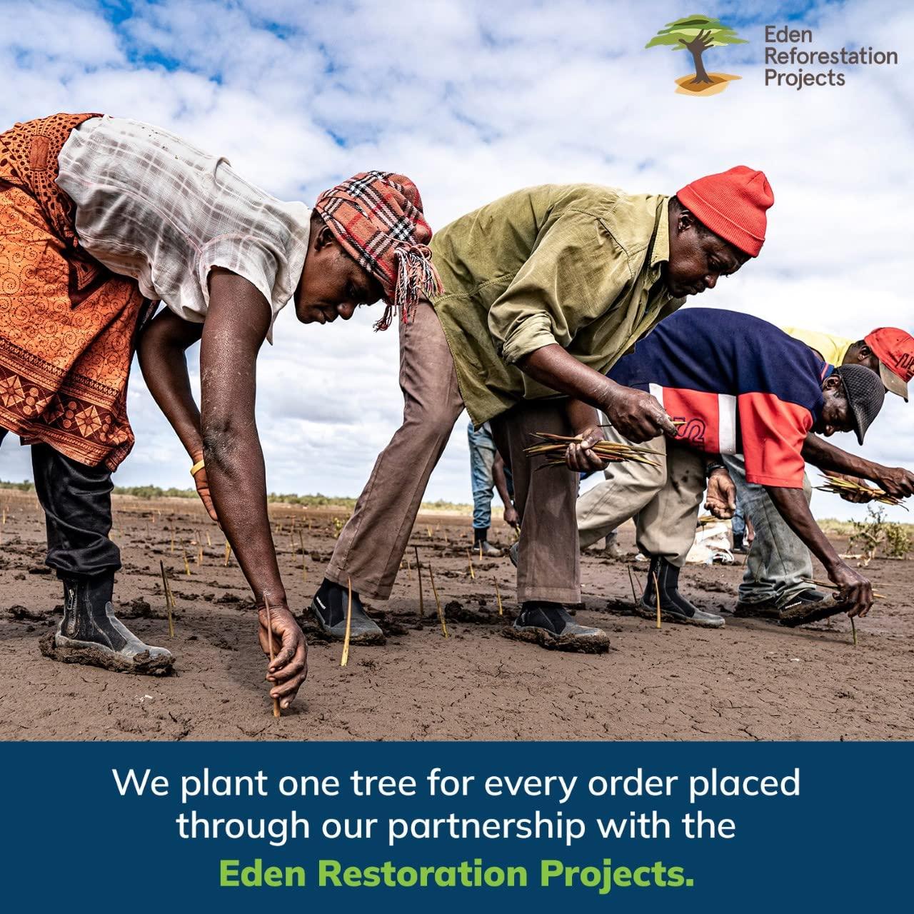 EVERSPROUT EVERSPROUT 1.5-to-3 Ft Duster 3-Pack with Extension-Pole (8-10 Ft Standing Reach) | Hand-Packaged Cobweb Duster, Microfiber Feather Duster, Flexible Microfiber Ceiling & Fan Duster | Telescopic Pole