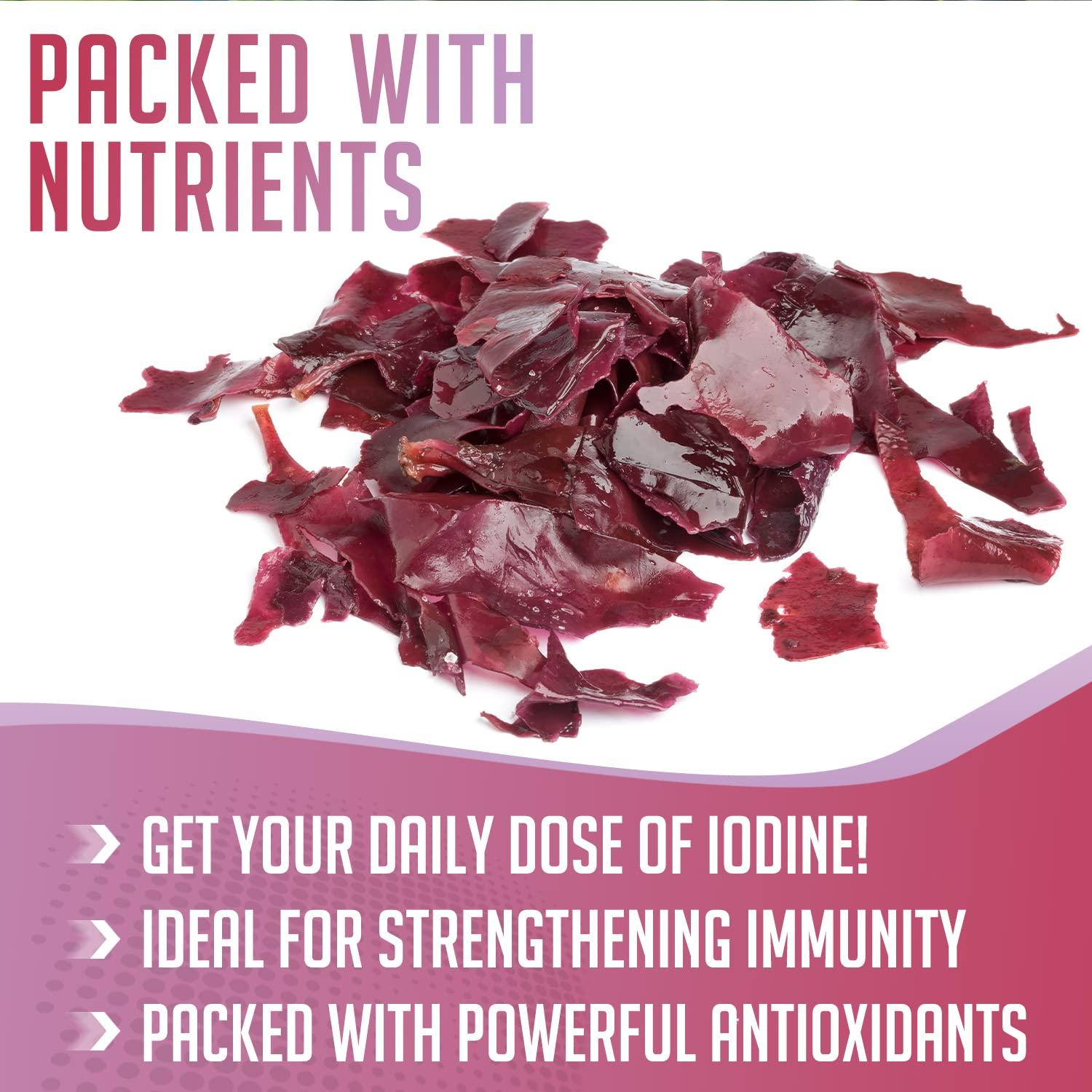 XPRS Nutra XPRS Nutra Dulse Powder (Palmaria Palmata) - Canadian Wildcrafted Nova Scotia Dulse Powder for Thyroid and Bones - Vegan Friendly Atlantic Dulse Powder (4 Ounce)