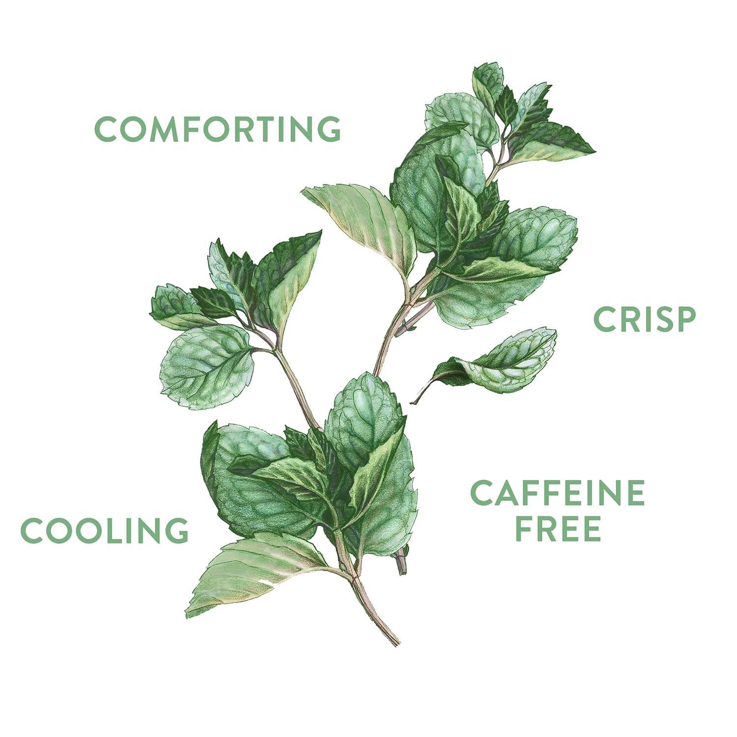 Choice Organics Choice Tea Tea Peppermint Org