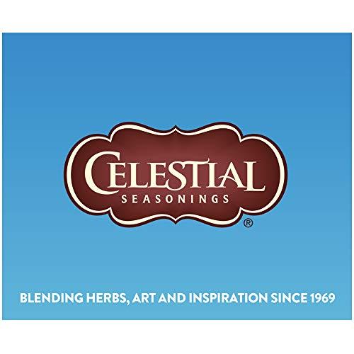 Celestial Seasonings Celestial Seasonings Cold Brew Iced Tea, Red, White & Blueberry, Caffeine Free, 18 Tea Bags (Pack of 6)