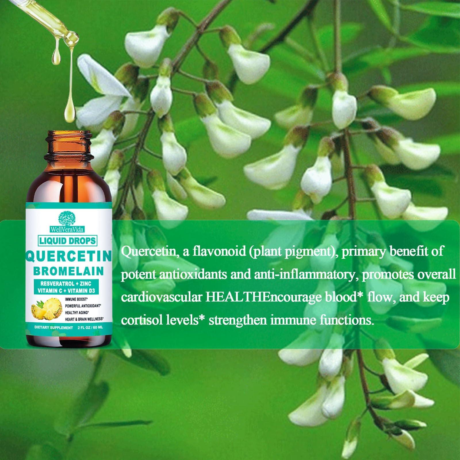 WellVeraVida Quercetin with Bromelain Liquid Drops, 4X Stronger Than Capsules & Pills, 7-in-1 Organic Zinc Quercetin 1000mg with Bromelain 500mg Vitamin C D3 Immune Complex for Respiratory Health & Antioxidant