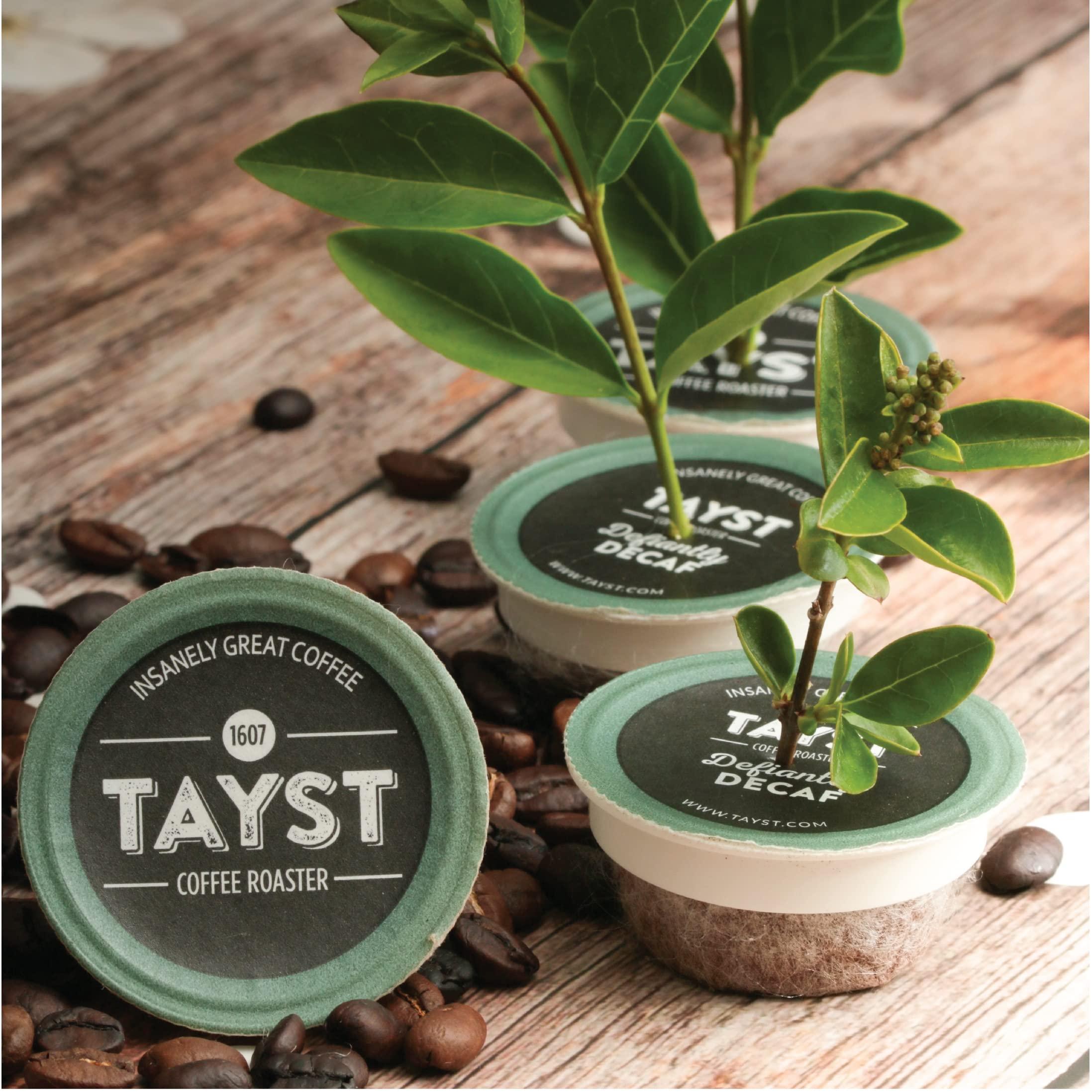 Tayst Coffee Roaster Tayst Coffee Pods, Medium & Heroic Medium Roast, K Cups Compatible with Keurig Coffee Maker, Sustainable Single Serve, Pack of 240