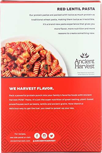 Ancient Harvest ANCIENT HARVEST Pasta Rotini Red Lentil, 8 oz