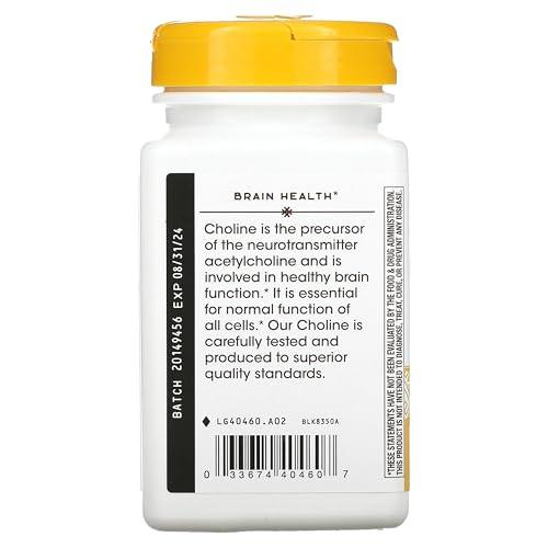 Nature's Way NATURES WAY 500Mg 100 Tb Choline, 100 CT