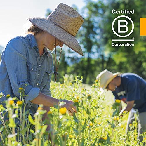 Herb Pharm Herb Pharm Certified Organic Super Echinacea Liquid Extract Drops for Active Immune System Support, 2 Oz