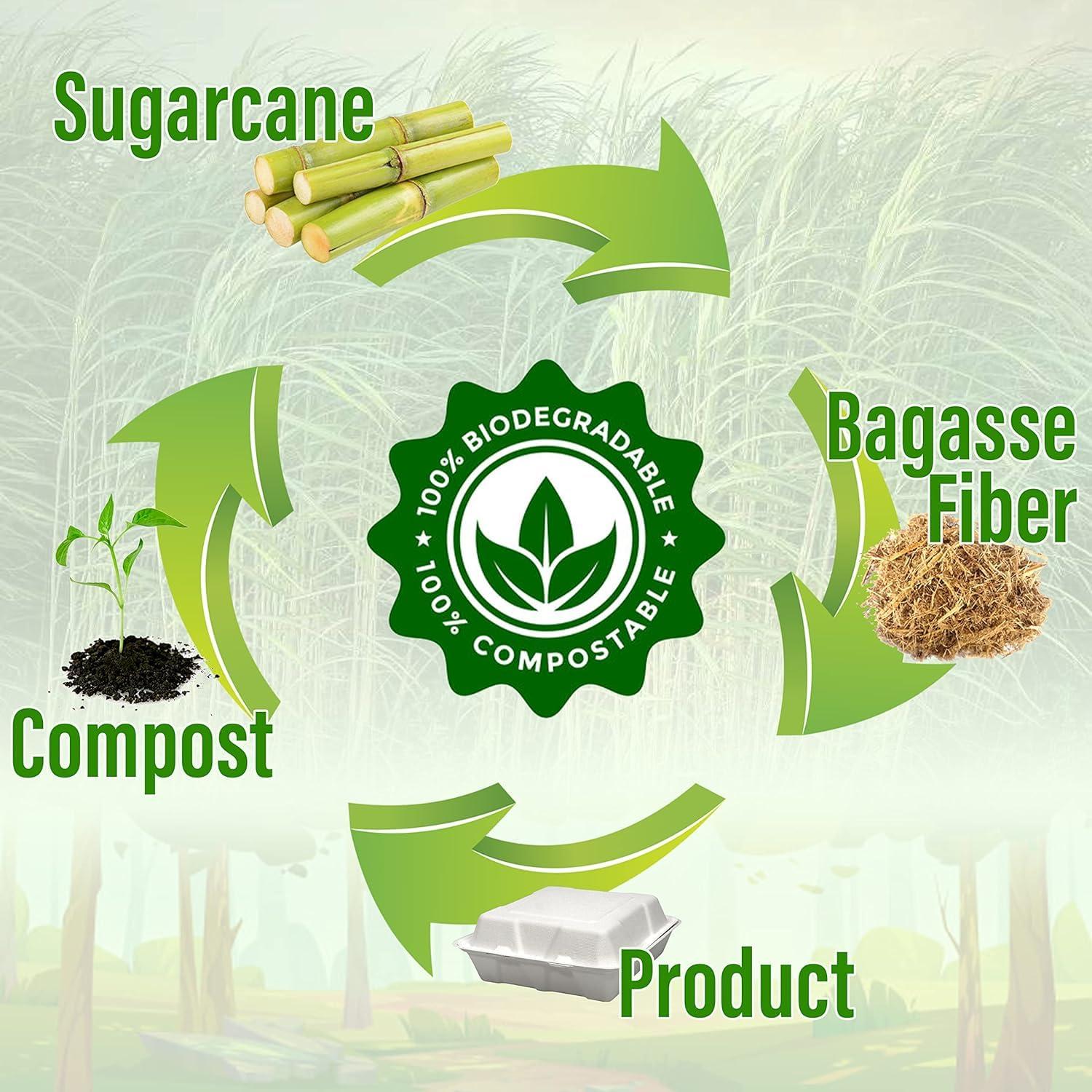 SIMOND STORE SIMOND STORE 9\"x9\" Food Container - 100 Pcs Disposable Food Containers - Biodegradable Clam Shell Food Containers - Clamshell Take Out Containers - Food Storage Container - Recyclable Food Containers