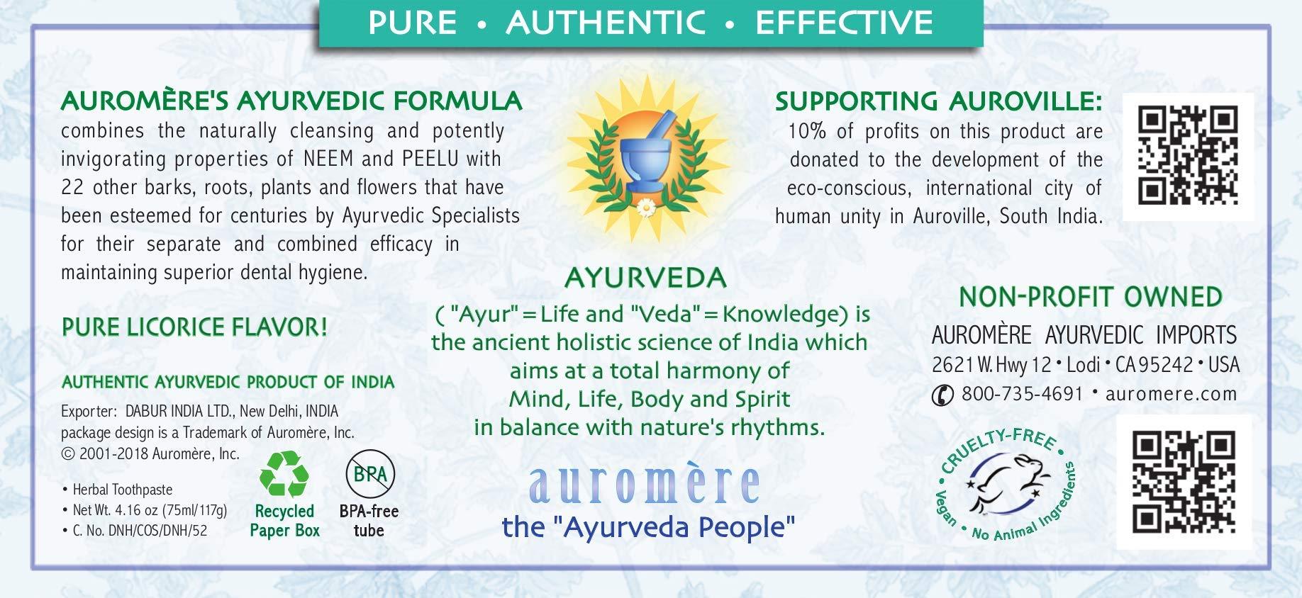 Auromere Auromere Ayurvedic Herbal Toothpaste, Mint Free - Vegan, Natural, Non GMO, Fluoride Free, Gluten Free, with Neem & Peelu (4.16 oz), 1 Pack