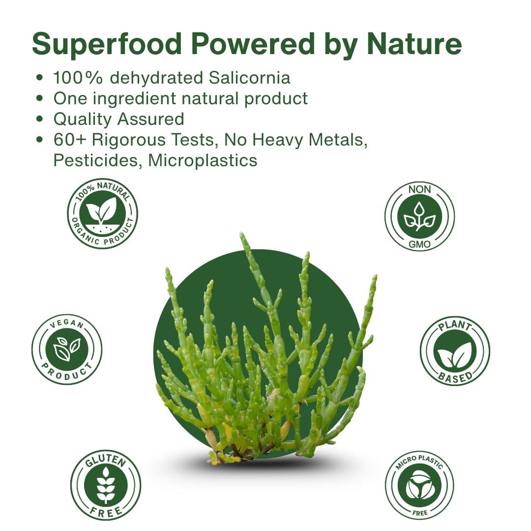 SaltWise SaltWise Low Sodium Salt Substitute, Plant Based Mineral Salt, Salicornia White Salt, Kosher, 100% Natural, No Additives (7.05 Oz / 200g)