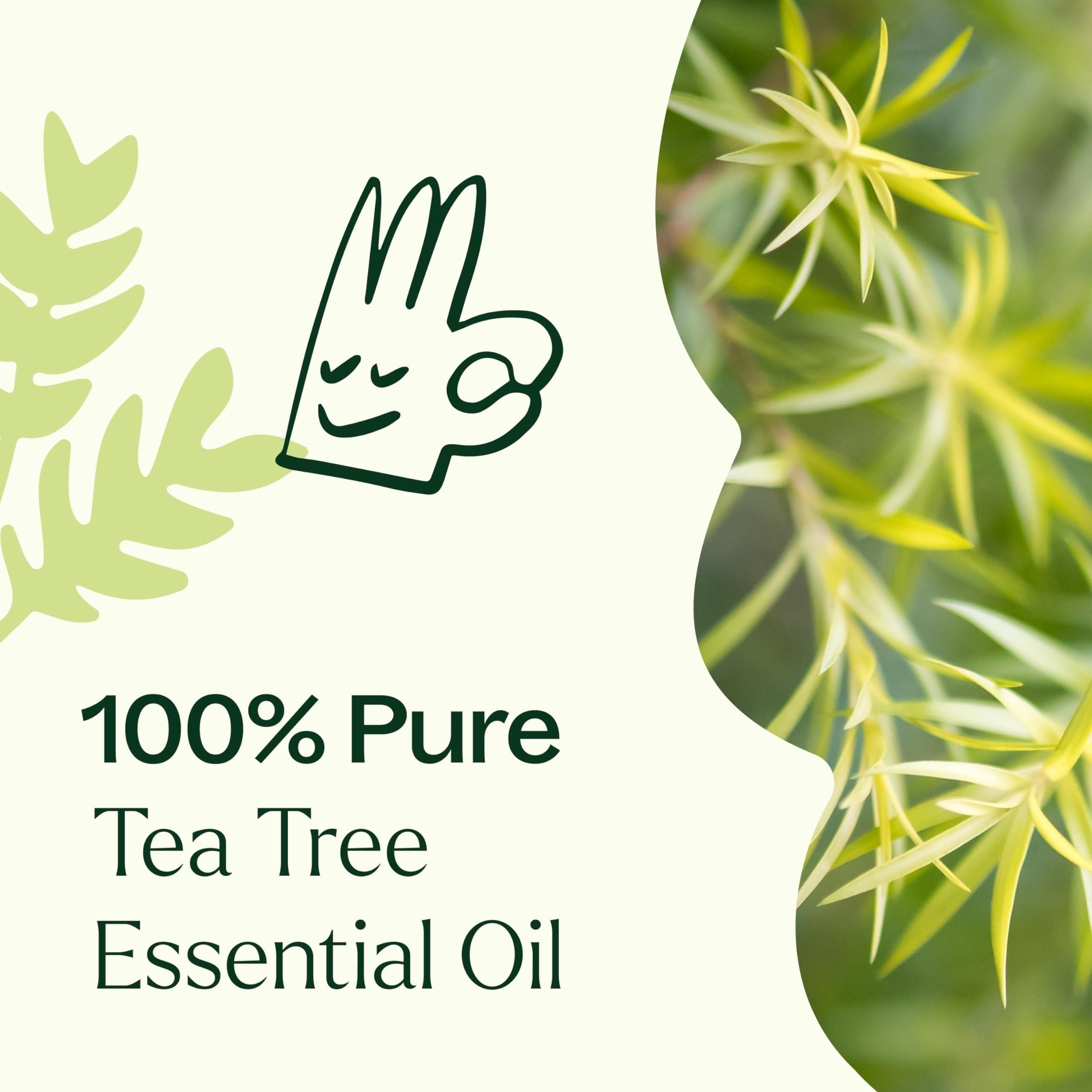 Plant Therapy Plant Therapy Tea Tree Essential Oil 100% Pure, Pre-Diluted Roll-On, Natural Aromatherapy, Therapeutic Grade 10 mL (1/3 oz)