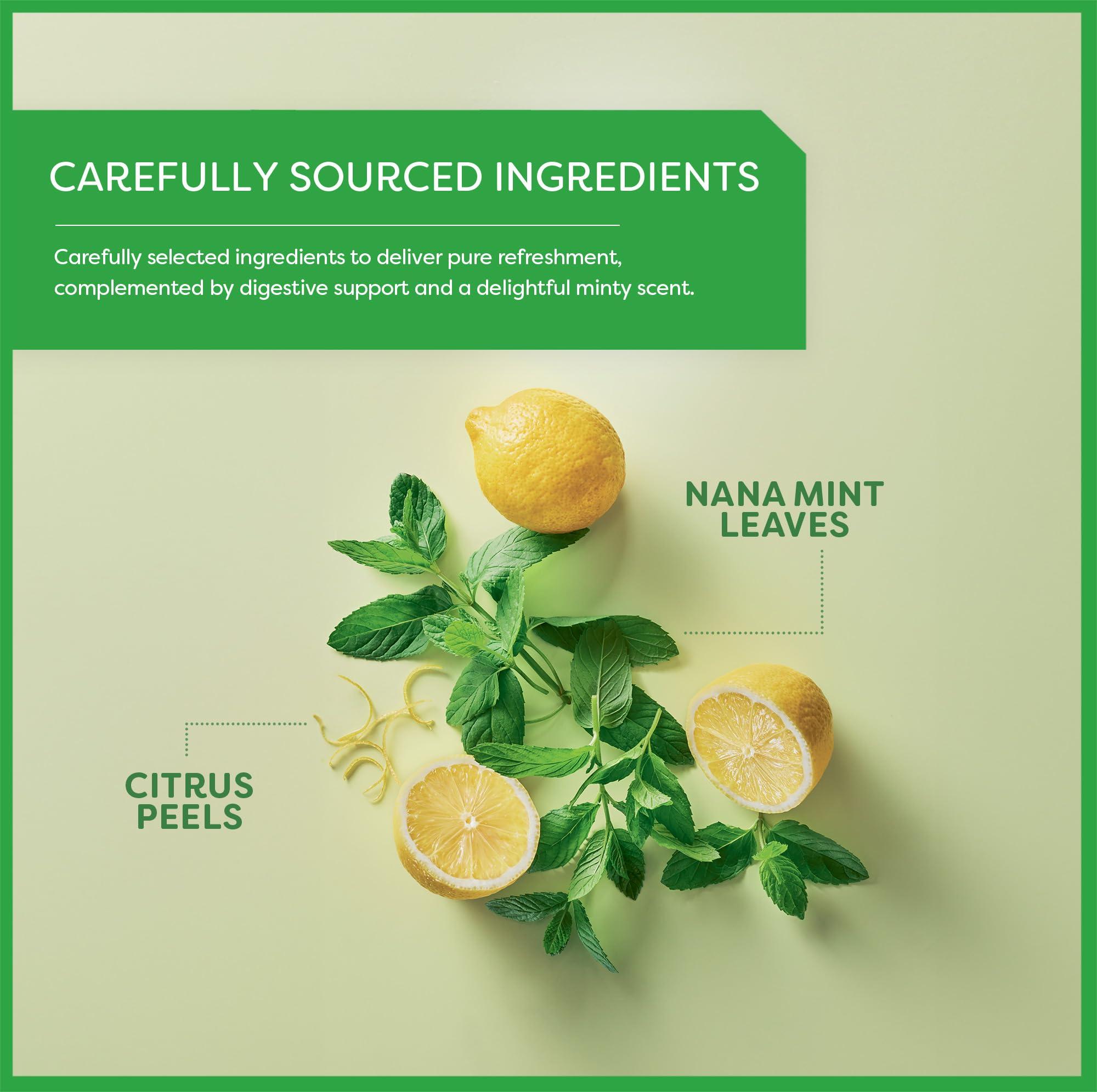 Wissotzky Tea Wissotzky Nana Mint & Lemon Fusion Tea, 20 Tea Bags | Invigorating Blend | Caffeine Free Tea | Digestive Support