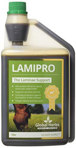 Global Herbs Global Herbs - Laminitis Prone Suppliment: 1kg