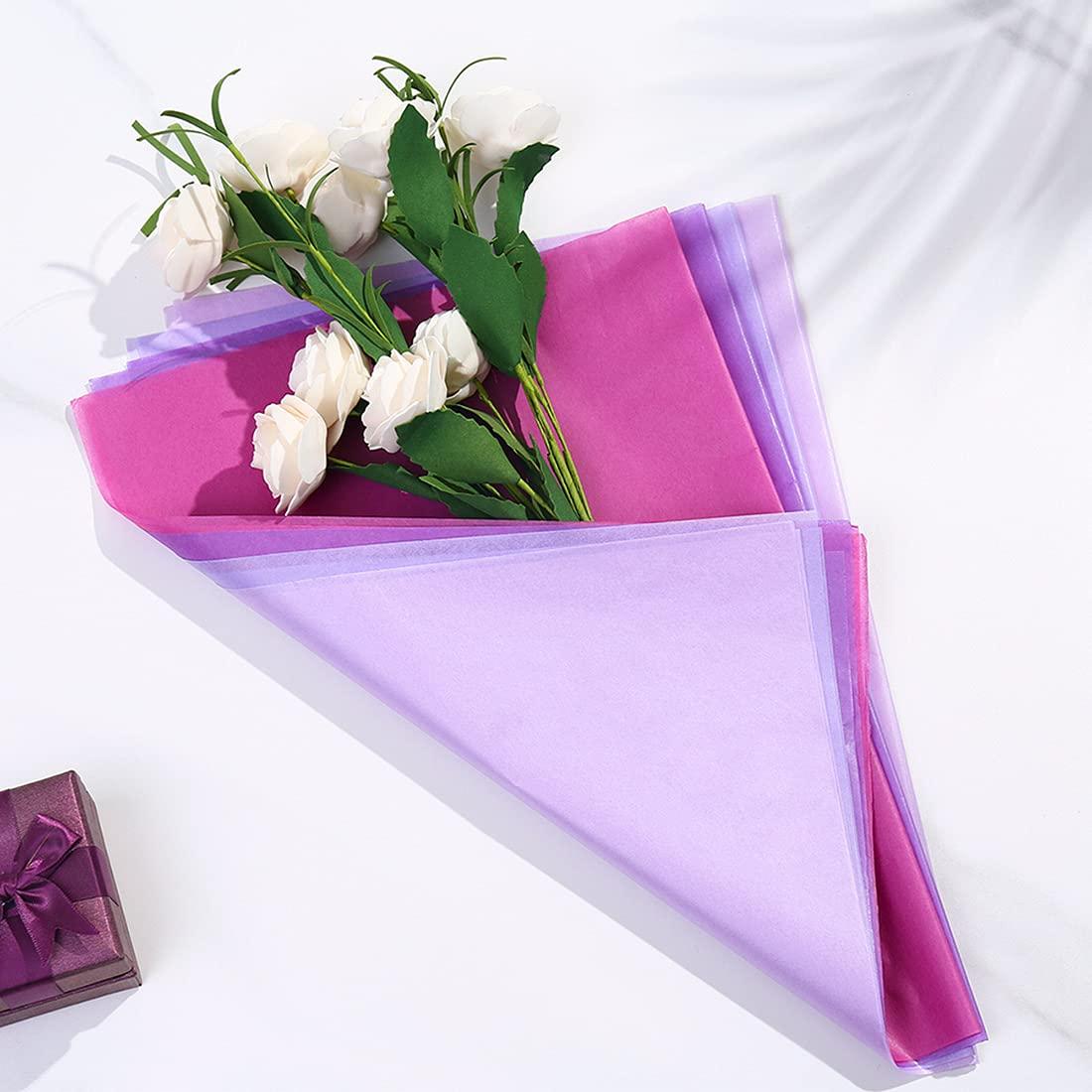 Gemaxvoled Gemaxvoled 2 Pack Medicine Lock Box, Large Capacity Premium Material Lockable Storage Bin Organizer Box with Combination Code for Safe Medication/Fridge Food/Snacks/Phone/Tablet Jail(Black)