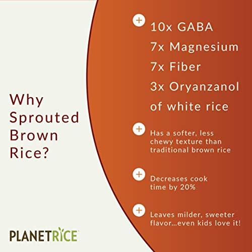 Planet Rice Planet Rice Bulk Sprouted Brown Rice Bulk - Great for Bulk Rice Cooking - Gaba Rice Gluten-Free, Vegan, Paleo, with 64% more Fiber - Soft and Chewy Texture - 25 lbs