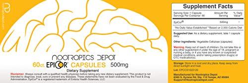 Nootropics Depot Nootropics Depot EpiCor Capsules | 500mg | 60 Count