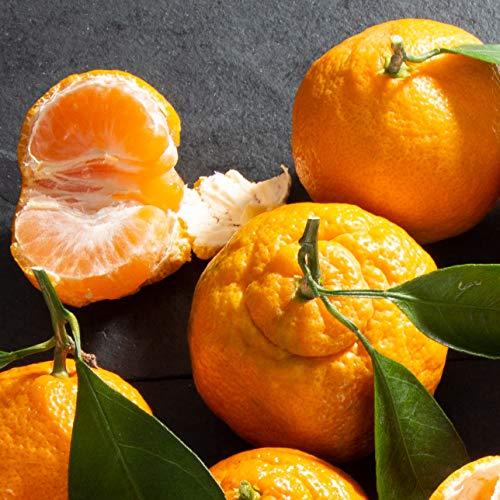 A Gift Inside A Gift Inside Sympathy Fruit Favorites Basket