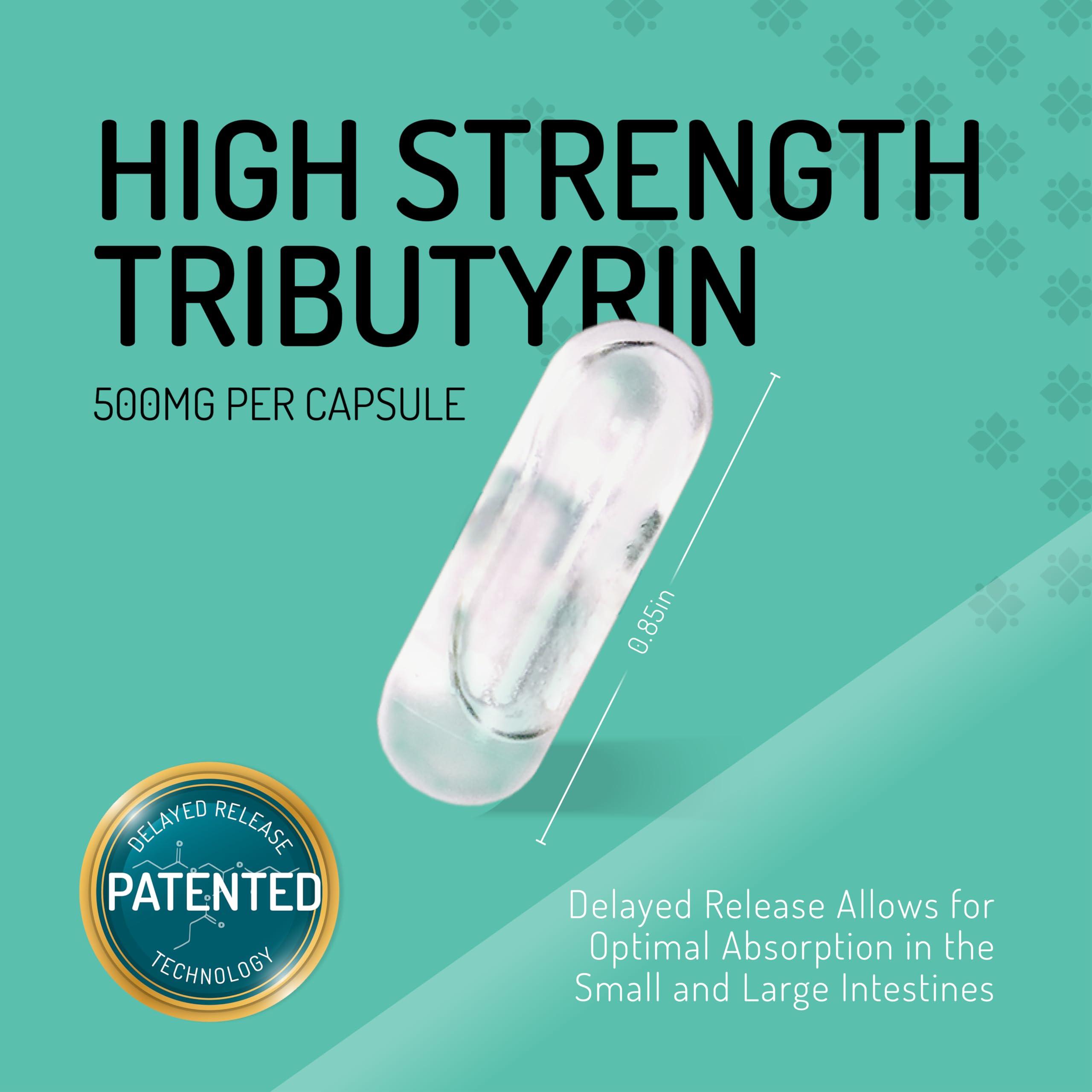 Healus Healus Complete Biotic - Postbiotic Tributyrin Supplement - Postbiotics for Gut Health - Butyrate Gut Health Supplement