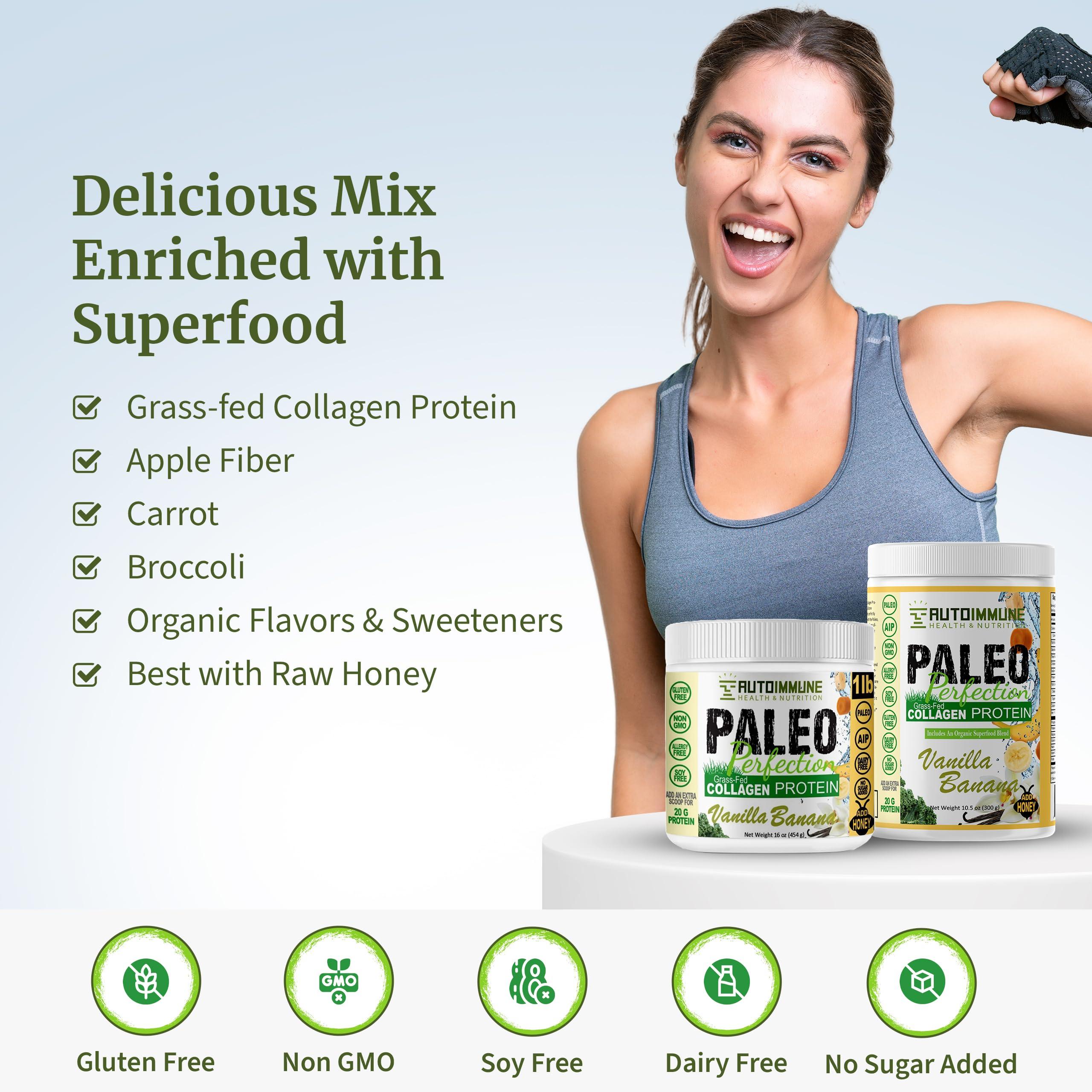 AUTOIMMUNE HEALTH & NUTRITION Paleo Perfection Double Chocolate Grass Fed Beef Collagen Protein Powder without Stevia - Paleo, Keto, SCD, AIP Protein Powder w/ Apple Fiber, Carrot, Broccoli - 300g Protein Powder & Superfood Blend