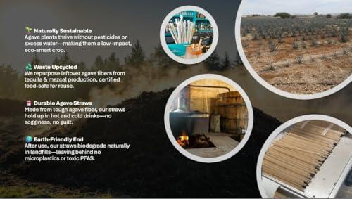 Avolutions Standard Natural Agave Drinking Straw- 8.25\" Unwrapped - 2000ct - Biodegradable Plant Based Agave Fibers that can be used in both hot and cold beverages.