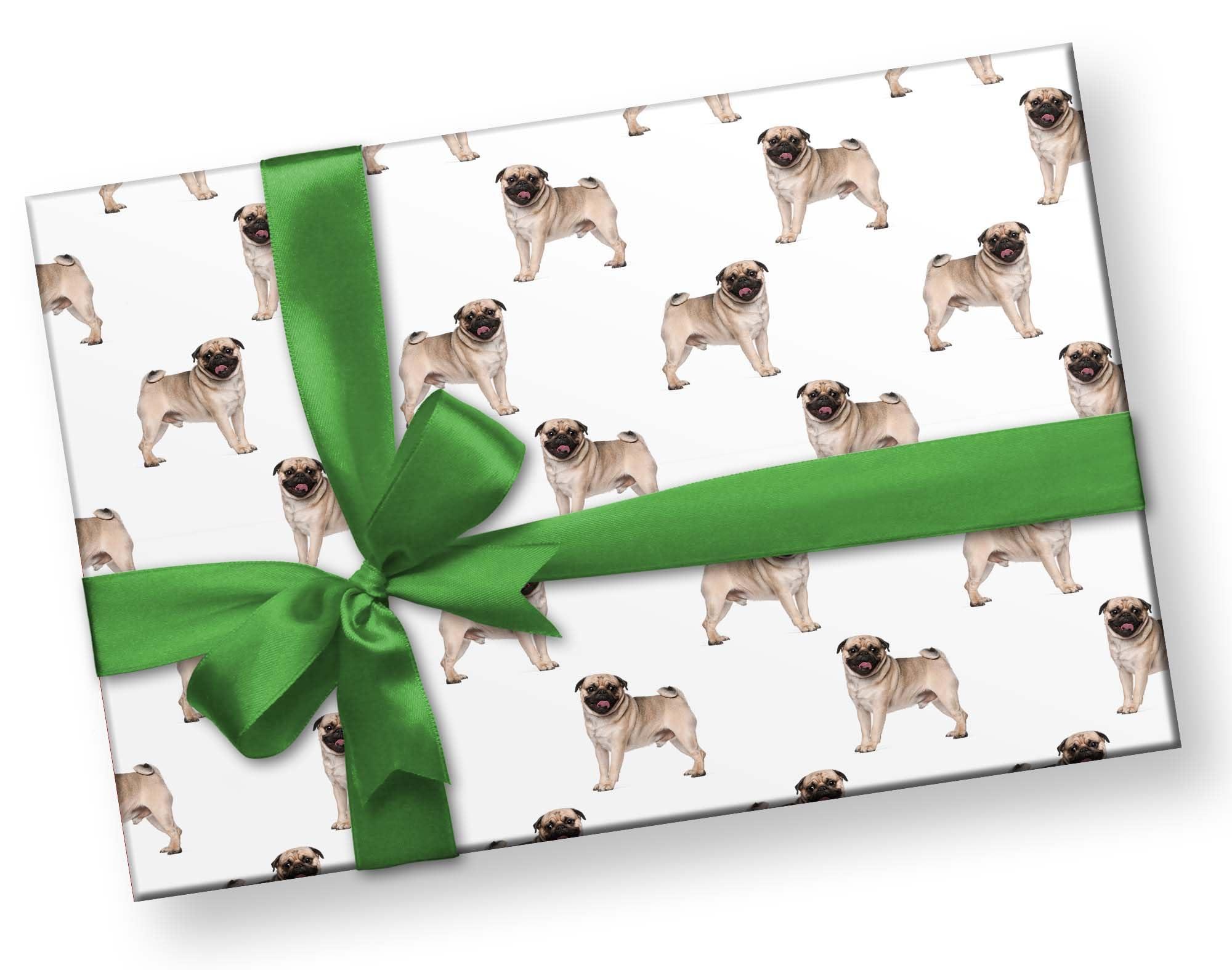 Foot Defender Foot Defender Protective Boot for Foot Wounds Designed to Offload Pressure and Help Diabetic Foot Ulcers Heal Faster (Medium)