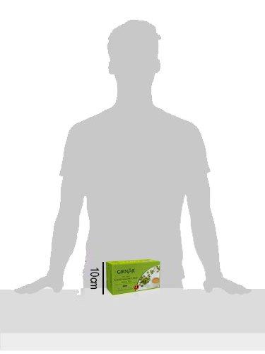 GIRNAR Girnar Instant Chai/Tea Premix With Cardamom, 10 Sachet Pack