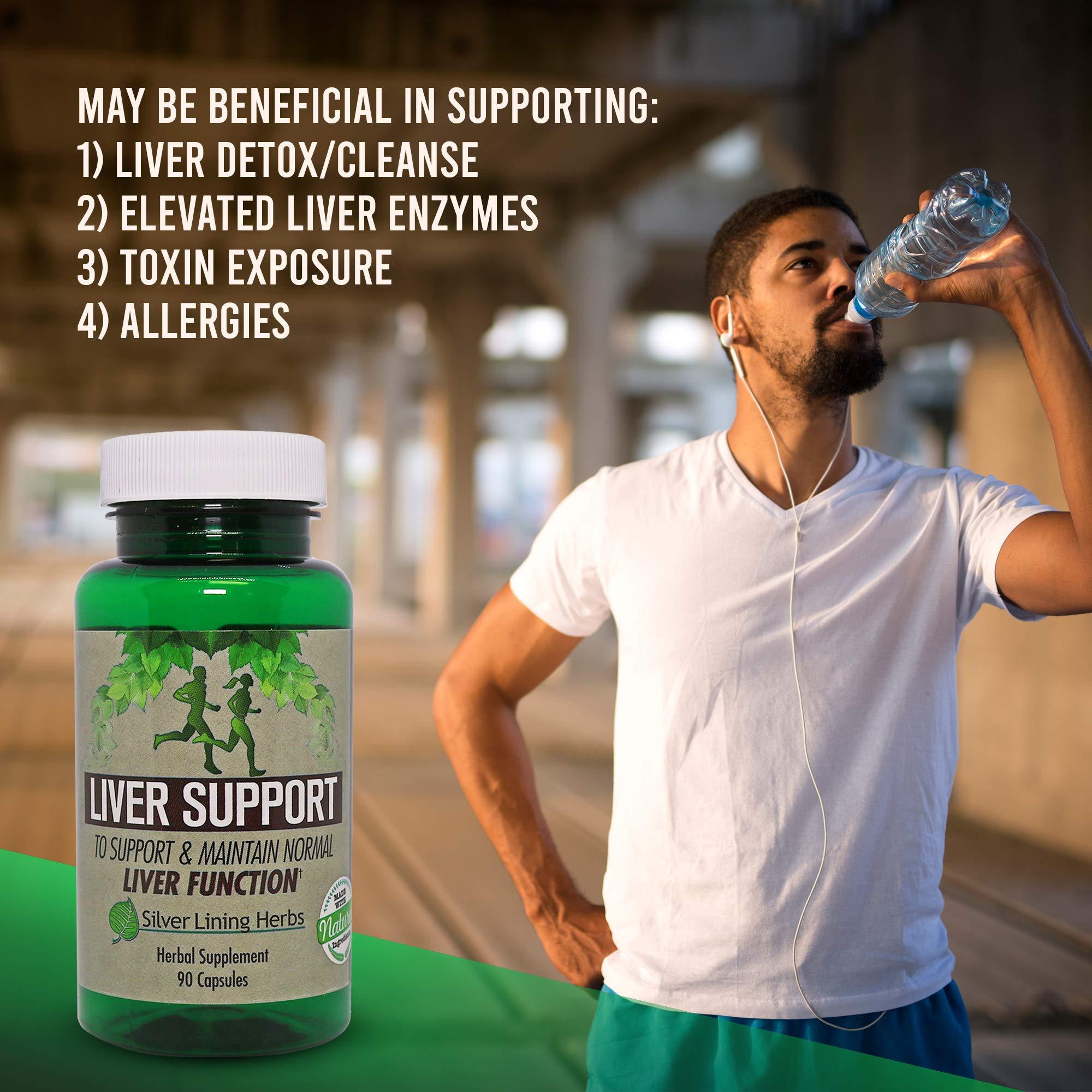Silver Lining Herbs Silver Lining Herbs Liver Support - Herbal Support to Help Maintain Liver Health - Natural Liver Care to Support Immune System and Allergies - 90 Capsules