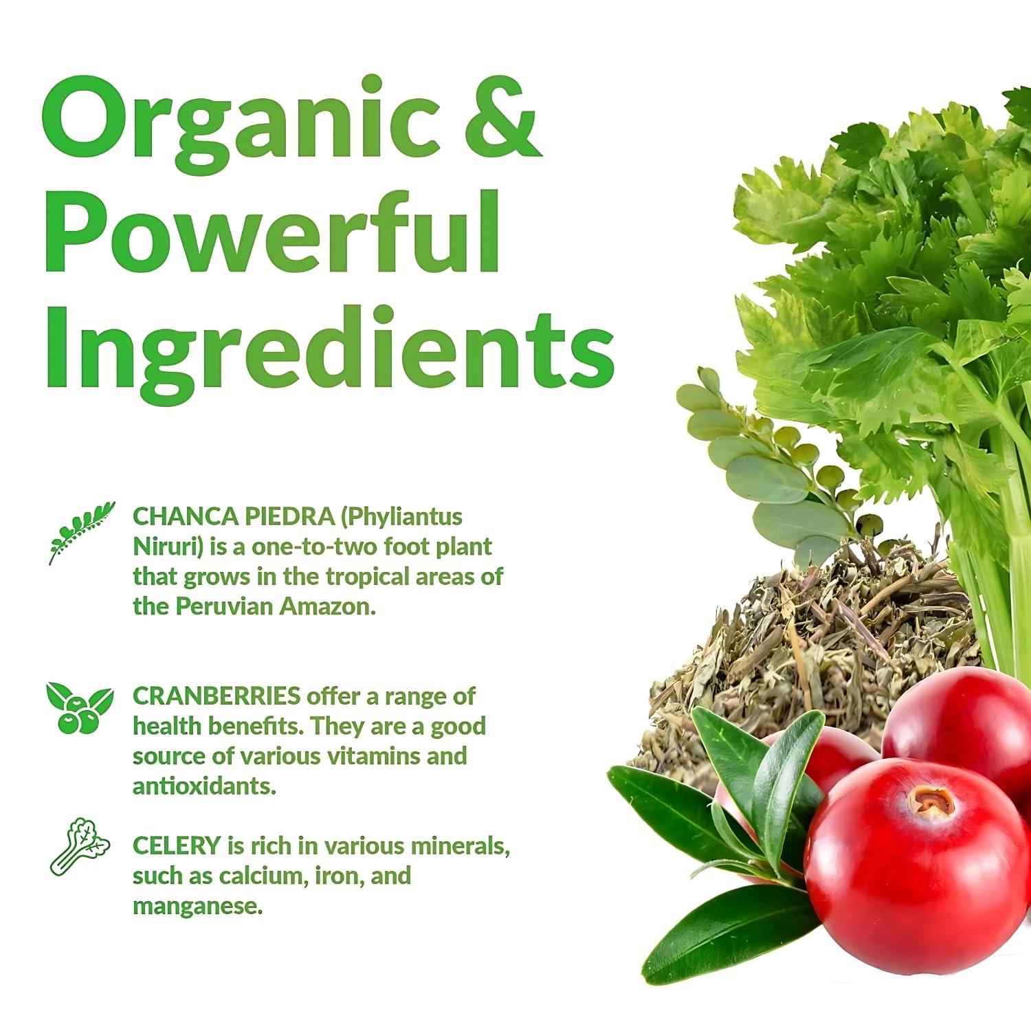 Logic Nutra Logic Nutra Chanca Piedra Kidney Stone Breaker 120 Tablets 800 mg - Maximum Strength for Gallbladder & Urinary Cleanse with Phyllantus Niruri, Celery Seed Extract & Cranberry Extract