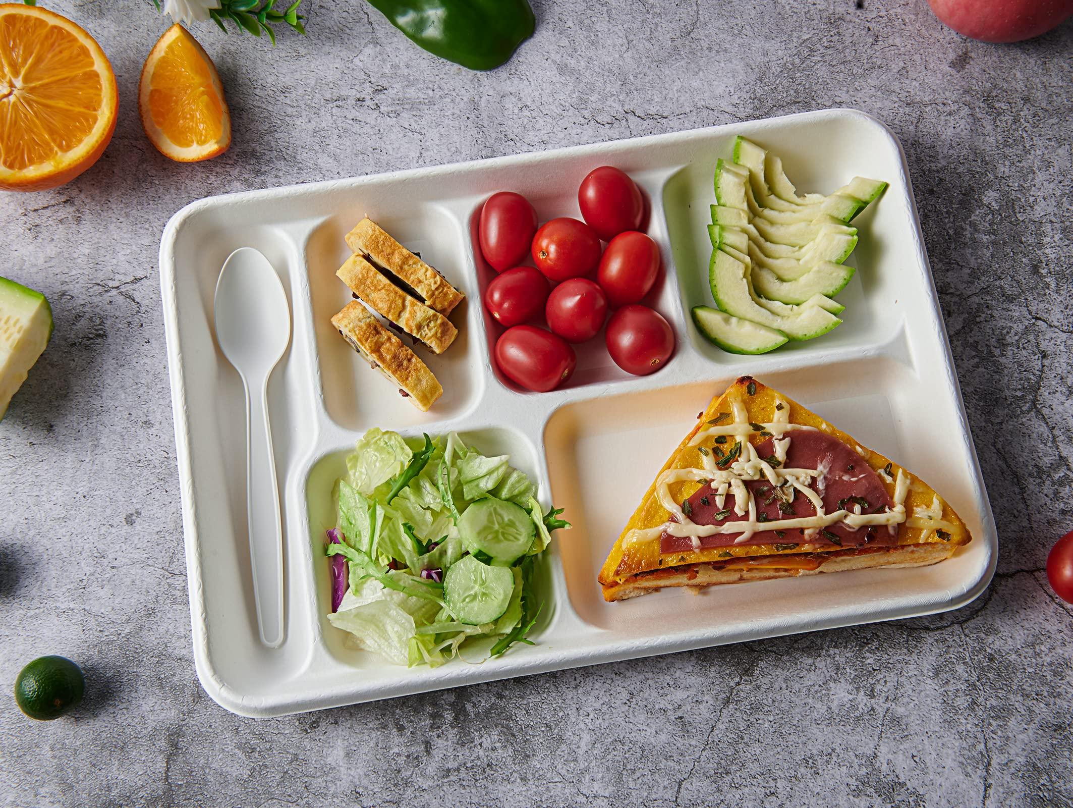 Vplus Vplus 100% Compostable 6 Compartment Plates, 90 Pack Compartment Paper Plate, 12.5 * 8.6 inch Disposable School Lunch Trays, Eco-Friendly Bagasse Plates for School Lunch, Buffet, and Party