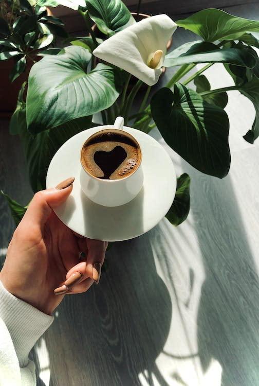 Knorr KNRR PASTA SIDES STROGANOFF