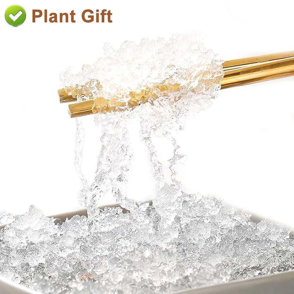 Plant Gift Plant Gift Wild Edible Gum,Tragacanth Gum ?? Snow Swallow xueyan No Colors, NON-GMO 150g / 5.29oz