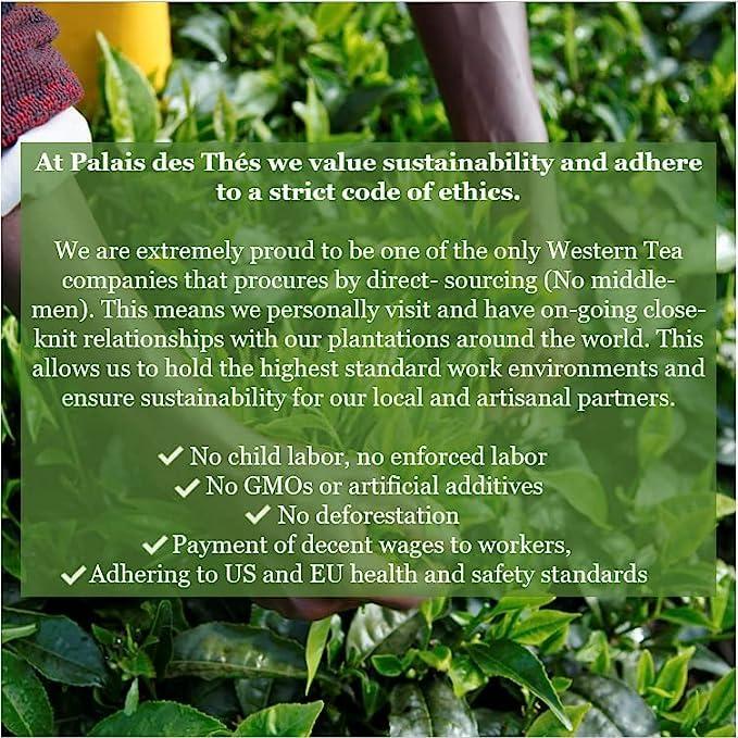 Palais des Ths Palais des Ths - Organic L\'Herboriste N52 - Premium Gourmet Herbal Tea with Anise, Peppermint, and Lemon Balm - 20 Count Biodegradable Cotton Tea Bags Box