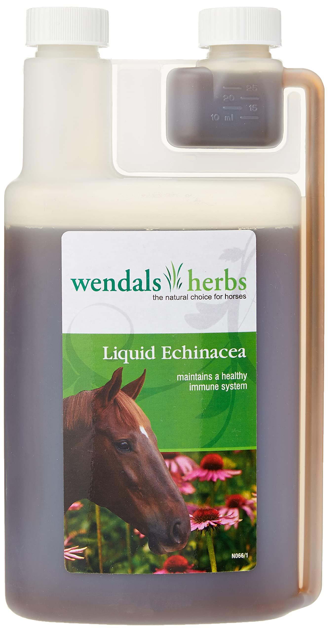 Wendals Wendals Liquid Echinacea - 1 Litre