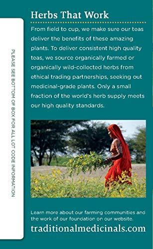 Traditional Medicinals Traditional Medicinals Organic Peppermint Delight Probiotic Tea Supports Healthy Digestion (16 Count (Pack of 6))