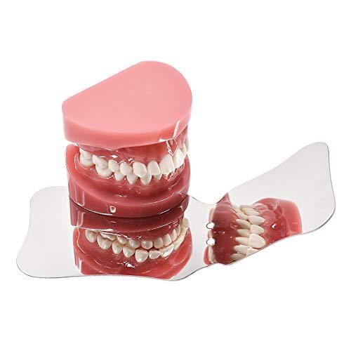 Angzhili 4 Pcs Dental Photography Mirrors Dental Orthodontic Mirror Stainless Steel Single Sided Photographic Occlusal Mirror Dental Oral Mirror Intra-Oral Reflector