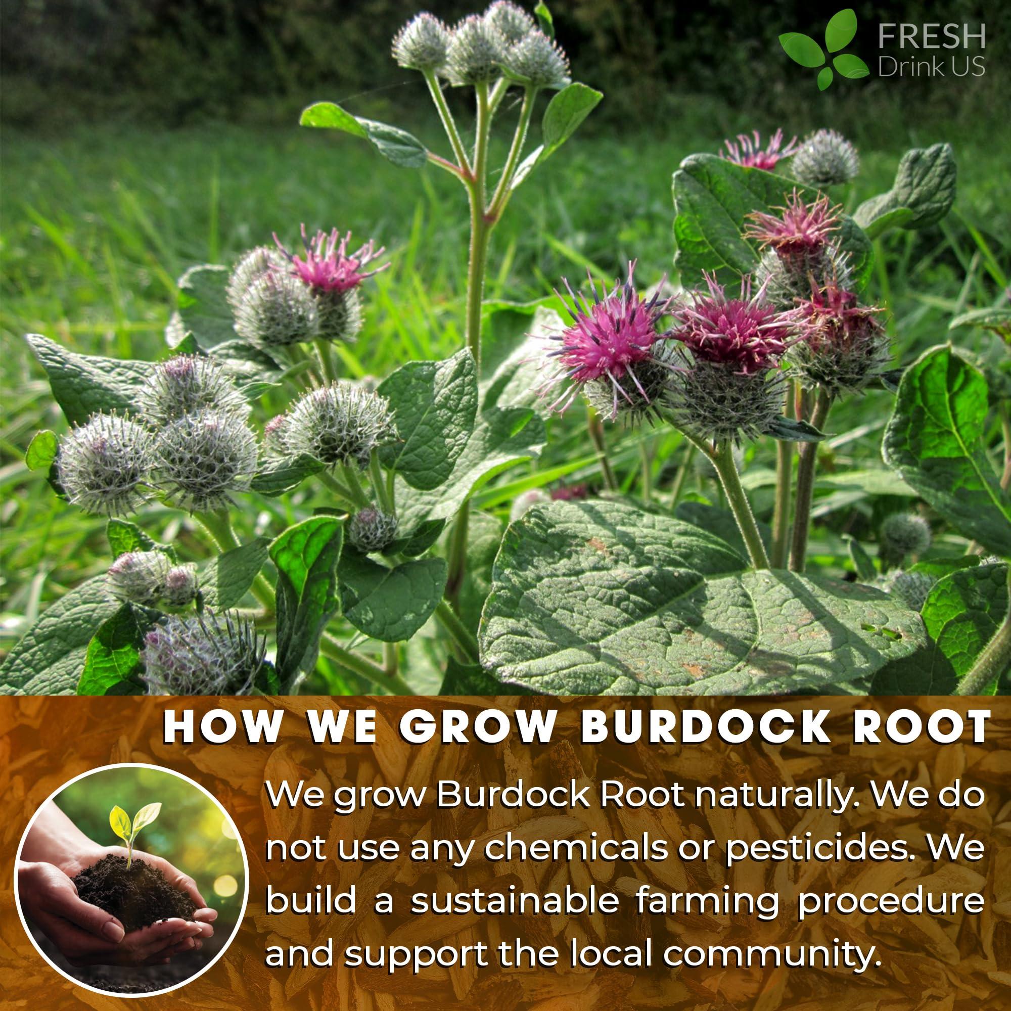 FRESHDRINKUS FRESHDRINKUS, Premium 10oz Burdock Root Powder, 100% Natural & Pure from Burdock Root, Burdock Root Herbal Tea, No Additives, No Caffeine, Vegan