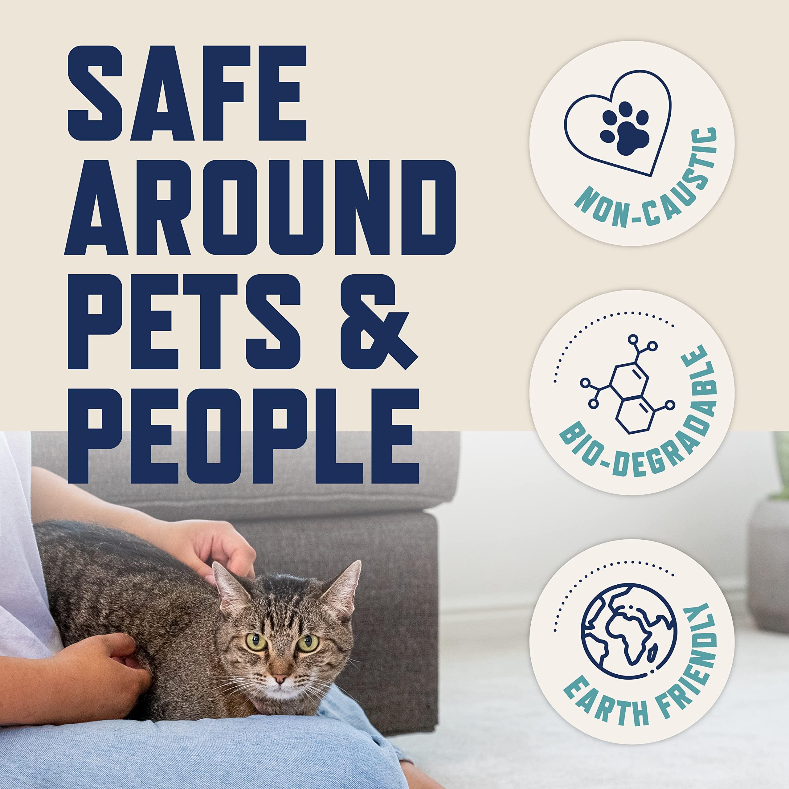 Rocco & Roxie Supply Co. Rocco & Roxie Pet Stain & Odor Carpet Cleaning Bundle