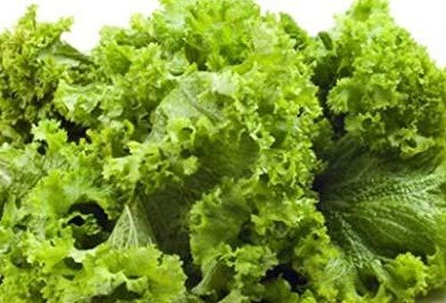 Unknown Old Fashioned Mustard Greens - No Better Tasting Greens(200 - Seeds)