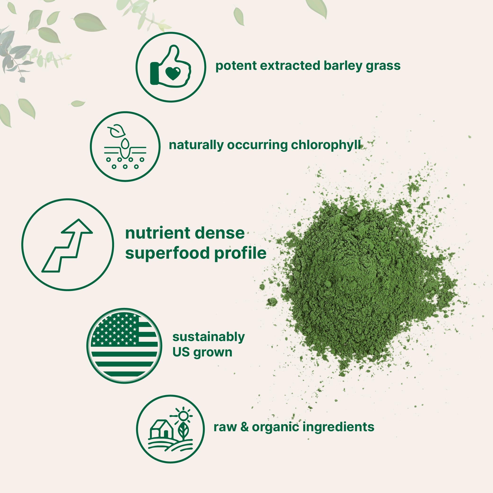 Micro Ingredients Organic Barley Grass Powder, 16 Ounces | US Grown | Rich in Vitamins, Minerals, Fibers, & Antioxidants | Superfood Greens Mix for Immune Health and Digestion Support | Non-GMO