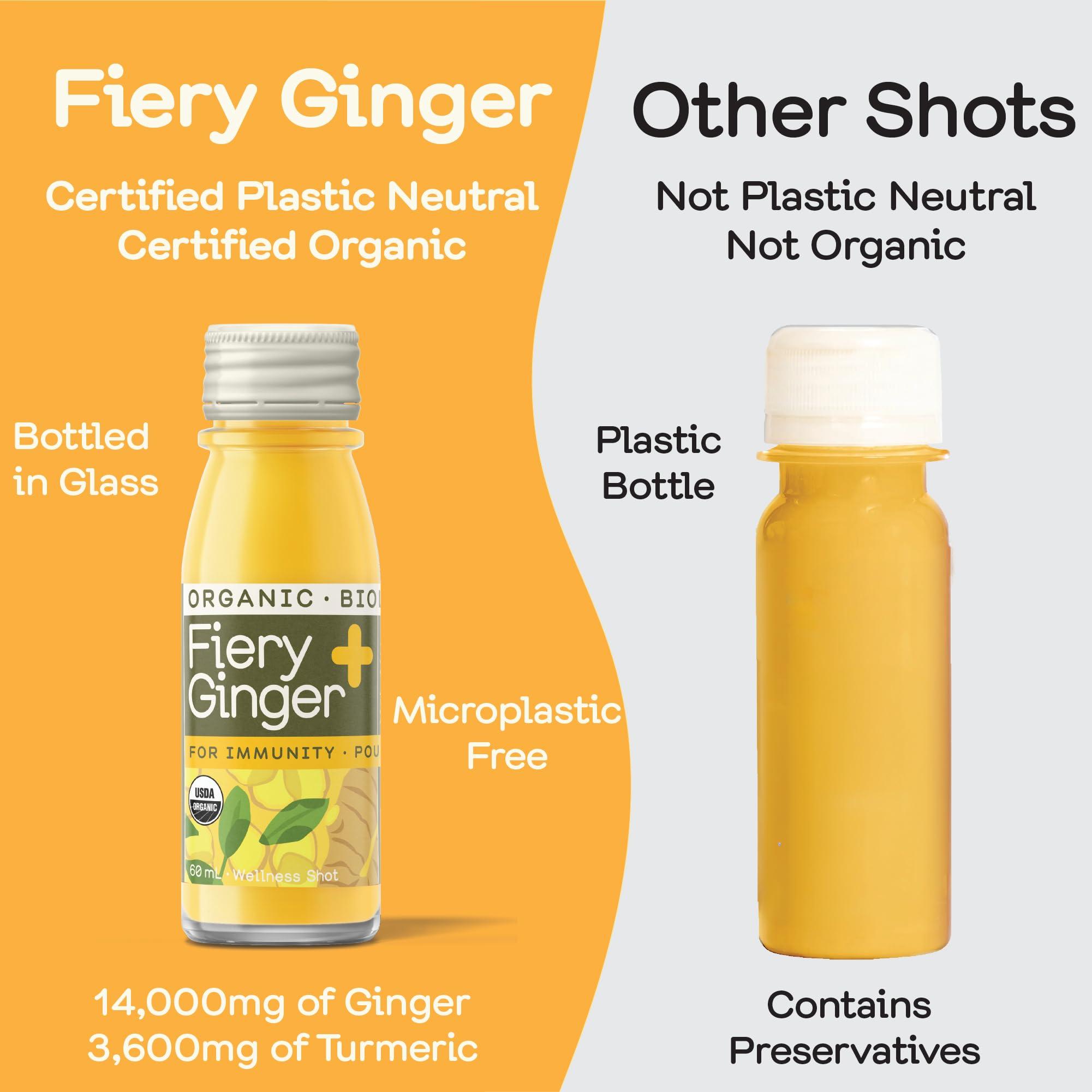 GREENHOUSE JUICE CO. Greenhouse Juice Ginger Shots Organic Fiery Ginger Wellness Shot, Cold Pressed with Turmeric Pepper Vitamin C Ginger Juice Immunity Shots Vegan & Gluten-Free (2 Oz, Pack of 24)