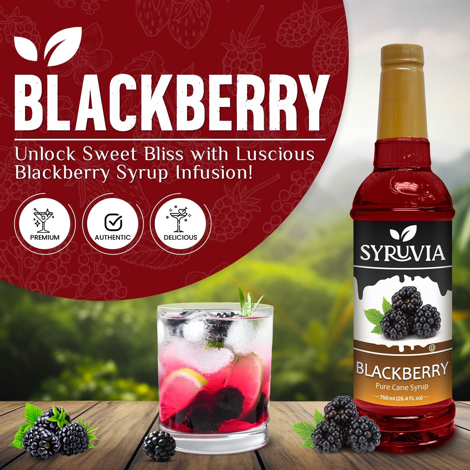 SYRUVIA Syruvia Blackberry Syrup Blackberry Syrup Flavor, 25.4 fl oz - Perfect for Cocktails, ice Tea, Desserts, Italian Sodas, Ice and More, Kosher and Gluten-Free With Syrup Pump