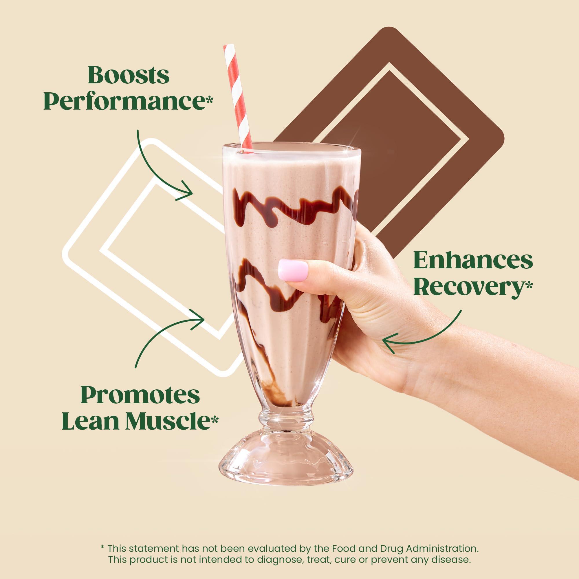 Bloom Nutrition Bloom Nutrition Whey Isolate Protein Powder, Chocolate - Pure Iso Post Workout Recovery Drink Blend, Smoothie Mix with Digestive Enzymes for Gut Health - Low Carb, Keto & Zero Sugar Added