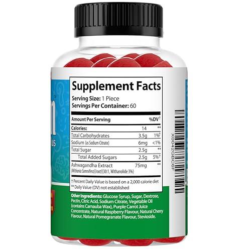 Ez-Focus Ez-Focus Organic Ashwagandha Gummies for Kids & Teens Calm & Focus Supplement with Ashwagandha Extract, Natural Calm Gummies for Kids, Sleep & Mood Support, Attention & Focus Vitamins- 60 Ct