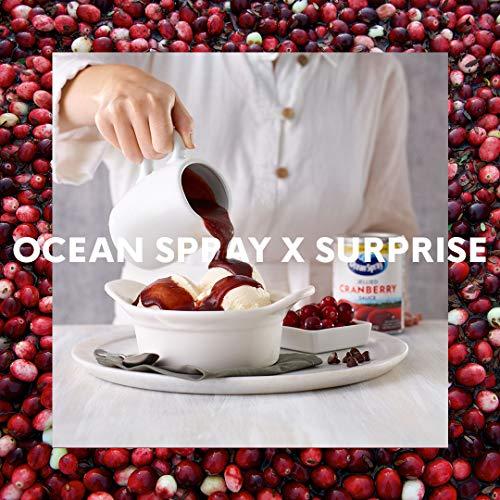 Ocean Spray Ocean Spray Cranberry Sauce Jellied, 14-Ounce Bottles (Pack of 24)