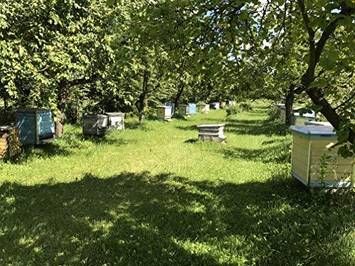 Mein Bienenbrot Fresh Organic Bee Bread, Naturally Fermented Pollen, Perga, 250g., 2021 Harvest