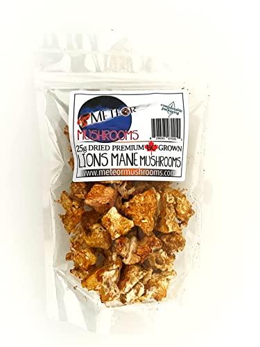 Meteor Mushrooms Lions Mane Mushrooms ~ dried pieces