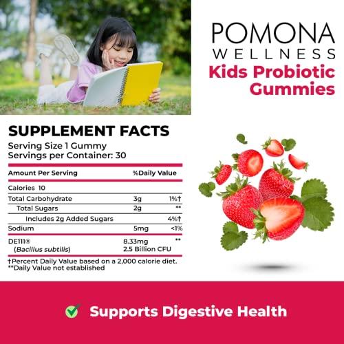 Pomona Wellness Pomona Wellness Organic Probiotic Gummies for Kids, Supports Digestive and Immune Health Helps Minor Abdominal Discomfort & Bloating, Strawberry Flavor, USDA Organic, Vegan, Non-GMO, 30 Count (2 Pack)