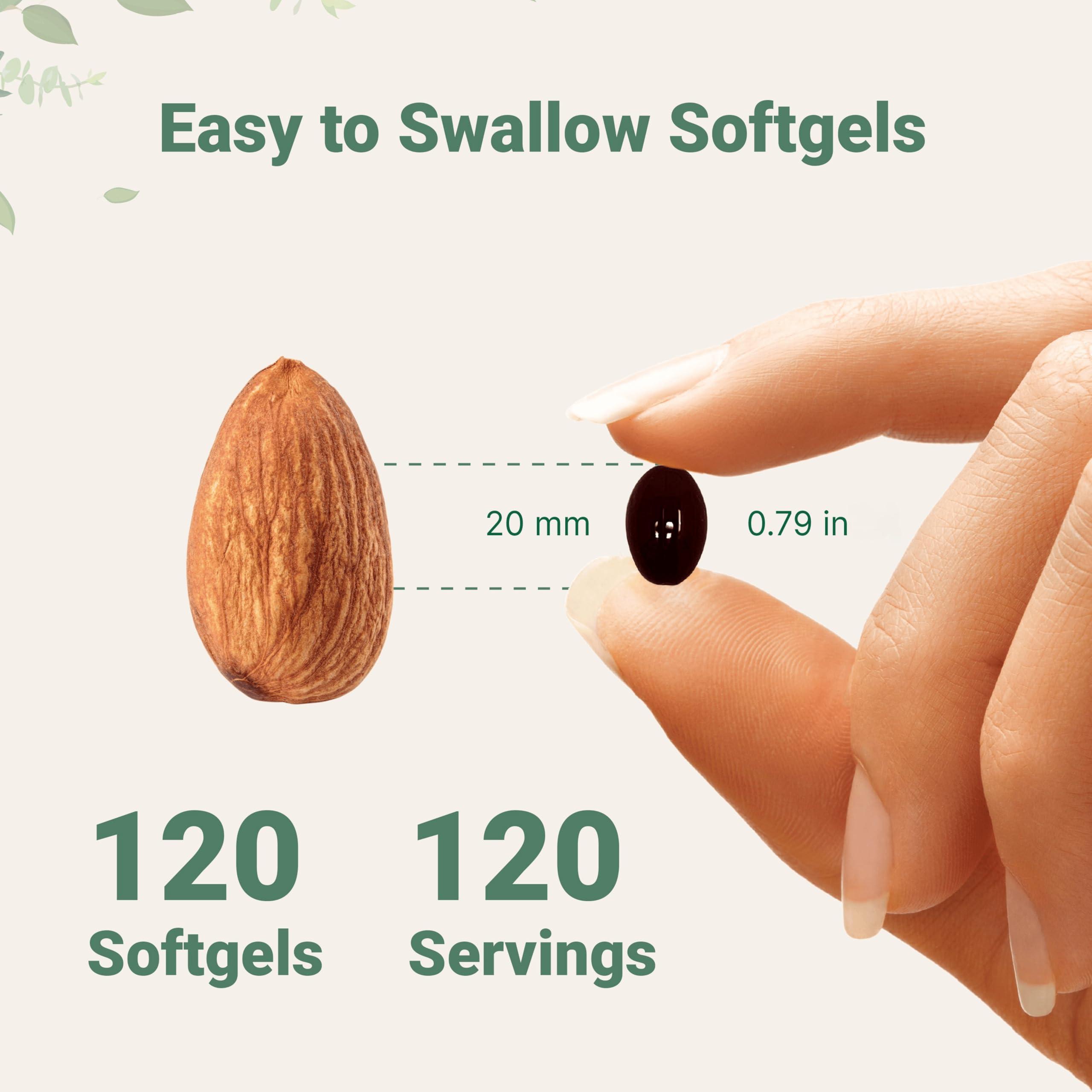 Micro Ingredients Micro Ingredients Astaxanthin 12mg, 120 Softgels, 4 Month Supply | Premium Astaxanthin Antioxidant Supplements | Fresh Microalgae Source | Supports Eye, Joint, & Internal Circulation Health