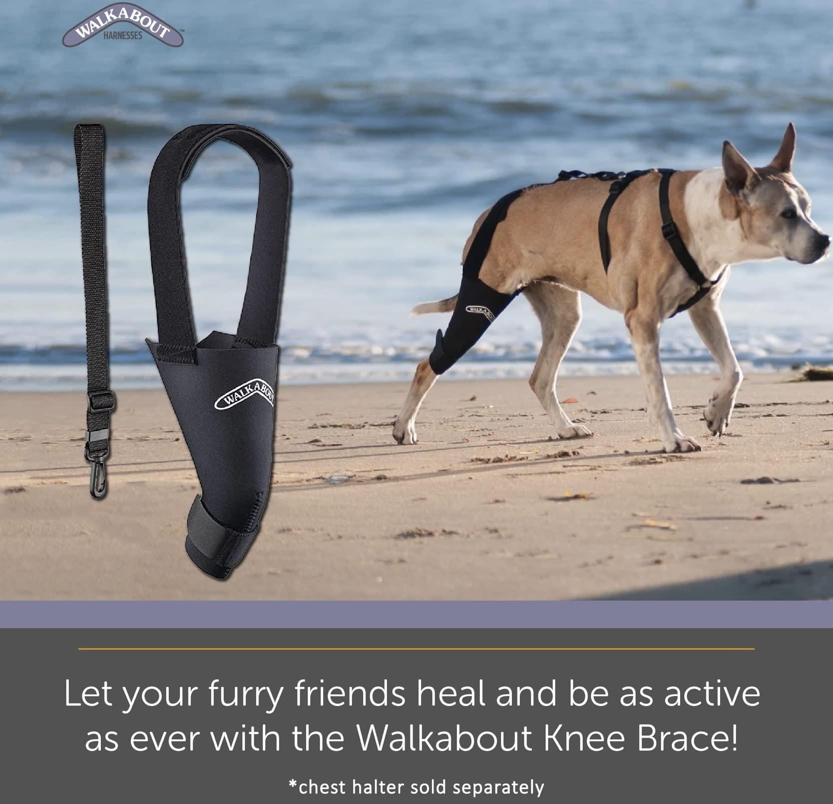 Walkabout WALKABOUT Canine Knee Brace 3.0 mm Neoprene Support Sleeve (Medium/Large 12-13\" Right Leg 1\" Above Knee)