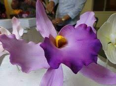 Bakell BAKELL Pastel Purple Art & Craft Glitter, 5g Jar | DAZZLER DUST | Non-Toxic Decorating Glitter | Arts, Crafts, Slime, Glue, Paint, Face & Body (Pastel Purple)