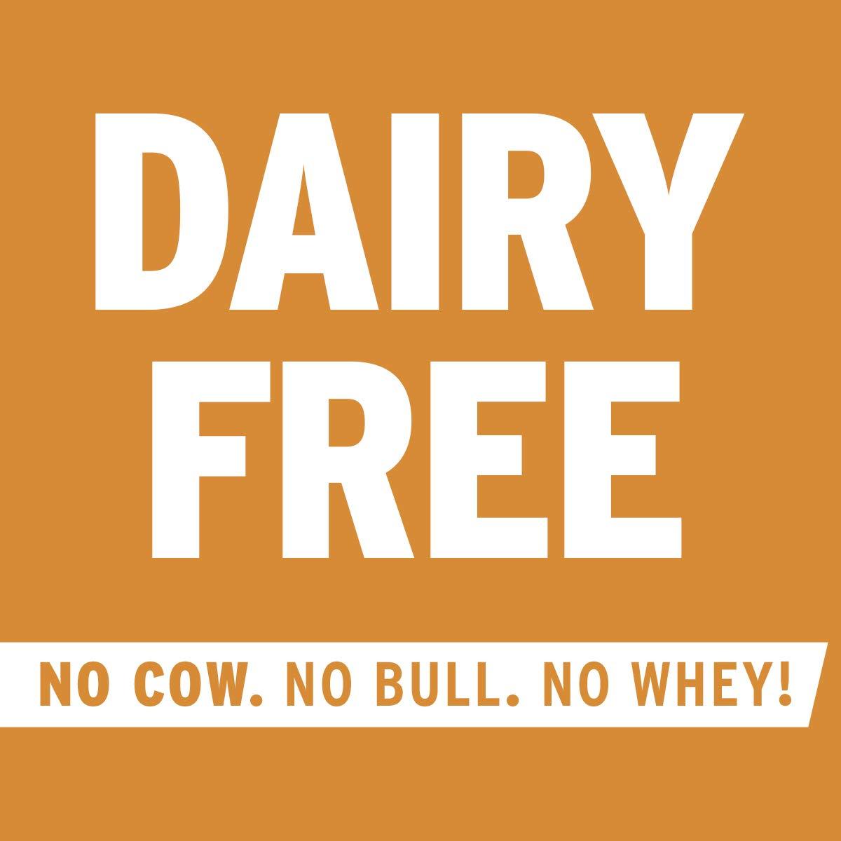 No Cow No Cow Protein Bar, Peanut Butter Chocolate Chip, 21g Plant Based Protein, Keto Friendly, Low Carb, Low Sugar, Dairy Free, Gluten Free, Vegan, High Fiber, Non-GMO, 4 Count